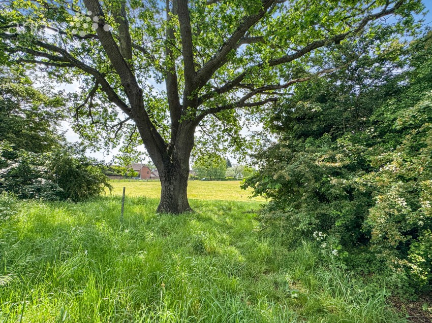 Images for Lower Earley, Reading, Berkshire