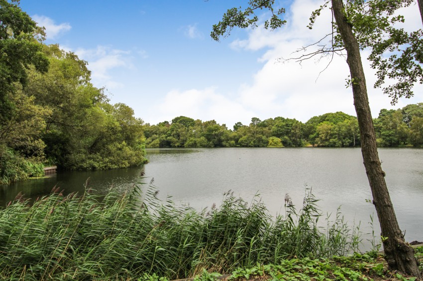 Images for Woodley, Reading, Berkshire